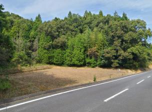 田布施町上田布施土地